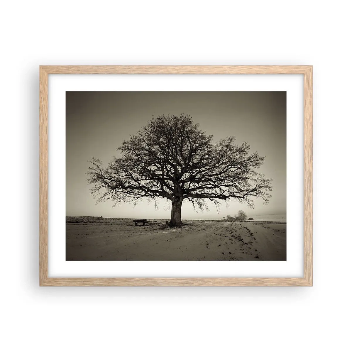 Poster in einem Rahmen aus heller Eiche - Von hier zu Ewigkeit - 50x40 cm