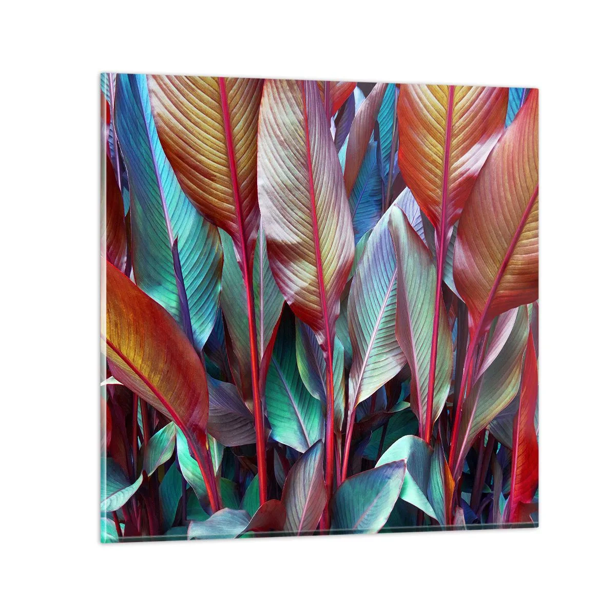 Glasbild - Bild auf glas - Buntes Dickicht - 60x60 cm