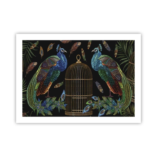 Poster - In königlichen Gewändern - 70x50 cm