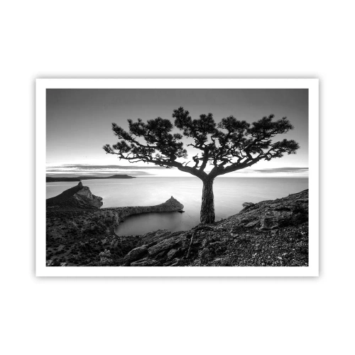 Poster - Schwarz-weiße Landschaft mit einem einsamen Baum auf einer Klippe über dem Meer - 100x70cm - Stille bis zum Horizont - Moderne Wanddekoration für Wohnzimmer und Schlafzimmer ARTTOR