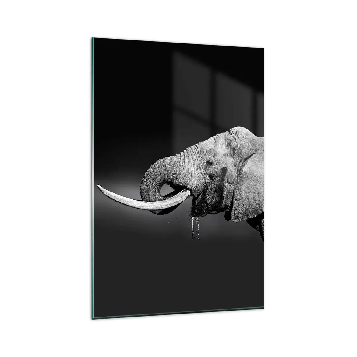 Glasbild - Bild auf glas - Schwarz-Weiß-Porträt eines Elefanten im Profil - 80x120cm - Ja, gut jetzt - Moderne Wanddekoration für Wohnzimmer und Schlafzimmer ARTTOR