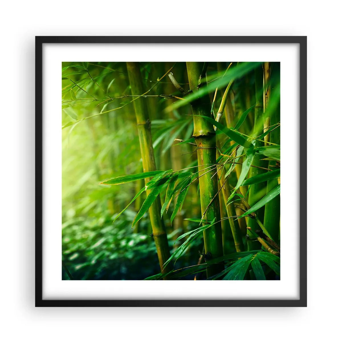 Poster in einem schwarzem Rahmen - Lerne Grün selbst kennen - 50x50 cm