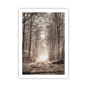 Poster - Ein Waldweg in herbstlichen Sepiatönen - 50x70cm - Waldkathedrale - Moderne Wanddekoration für Wohnzimmer und Schlafzimmer ARTTOR