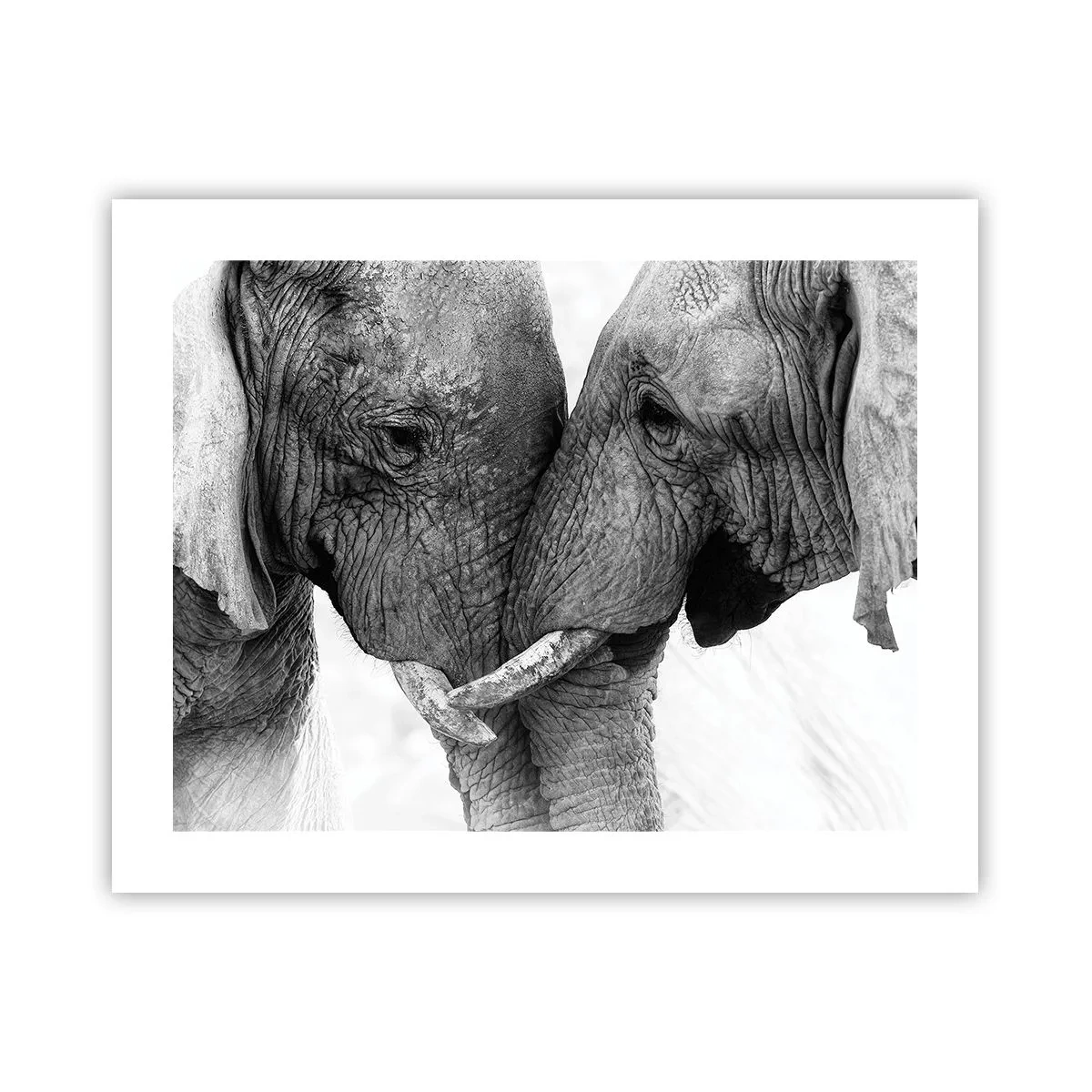 Poster - Herzliches Geständnis - 50x40 cm