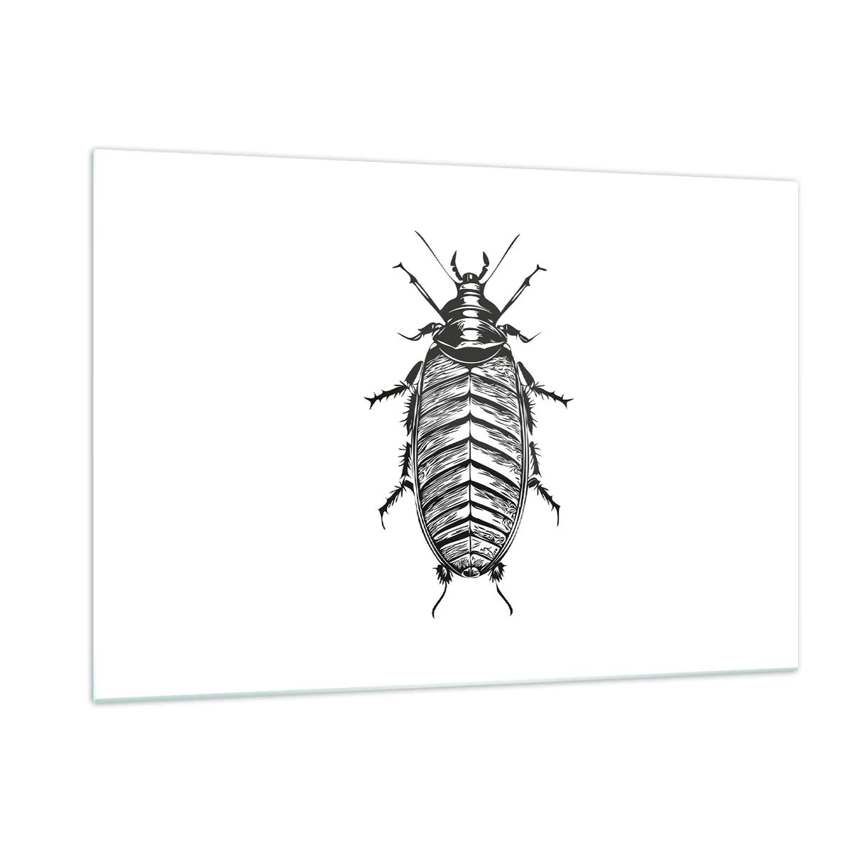 Glasbild - Bild auf glas - Schwarz-Weiß-Darstellung eines Insekts auf weißem Hintergrund - 120x80cm - Was für ein Exemplar! - Moderne Wanddekoration für Wohnzimmer und Schlafzimmer ARTTOR