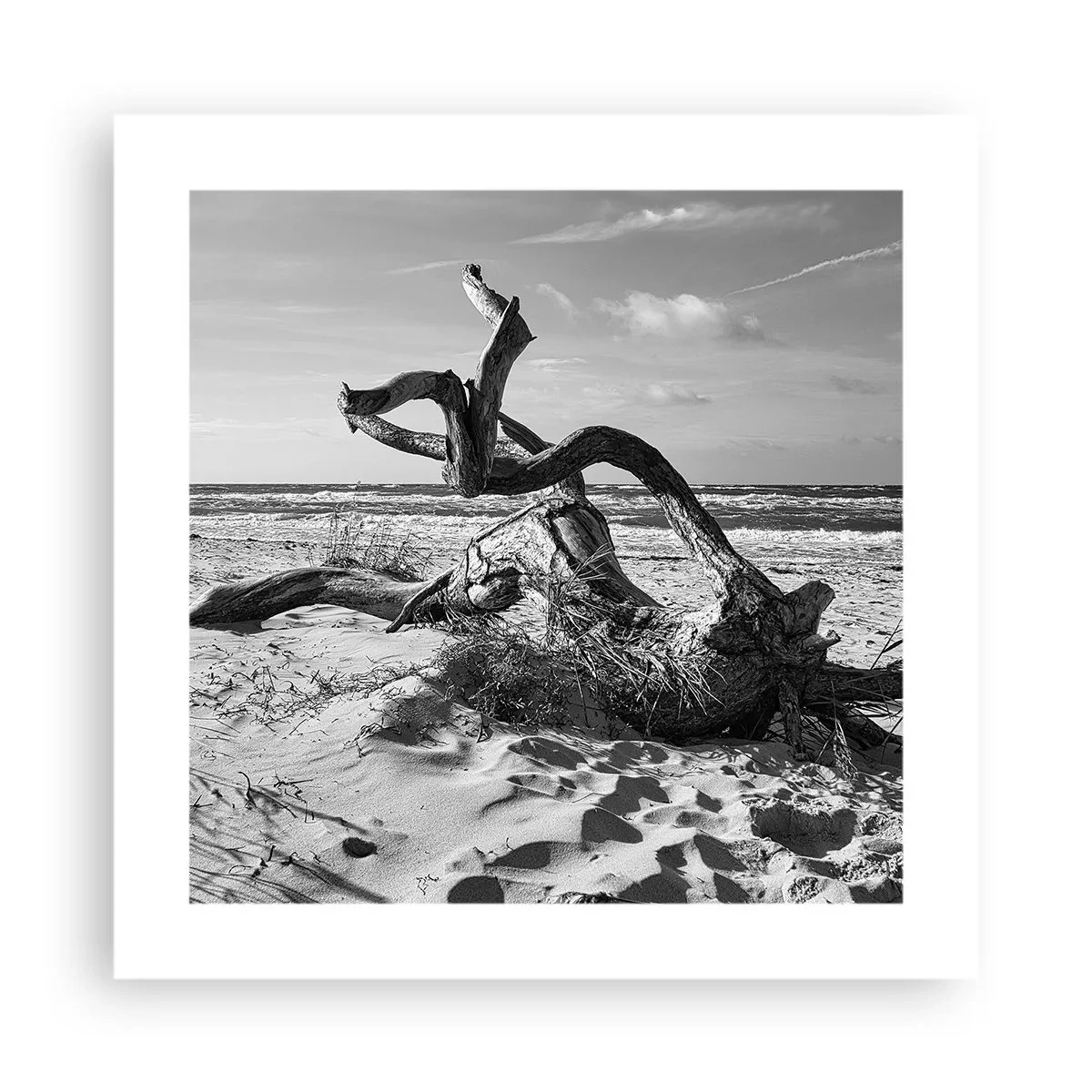 Poster - Meeresskulptur - 40x40 cm