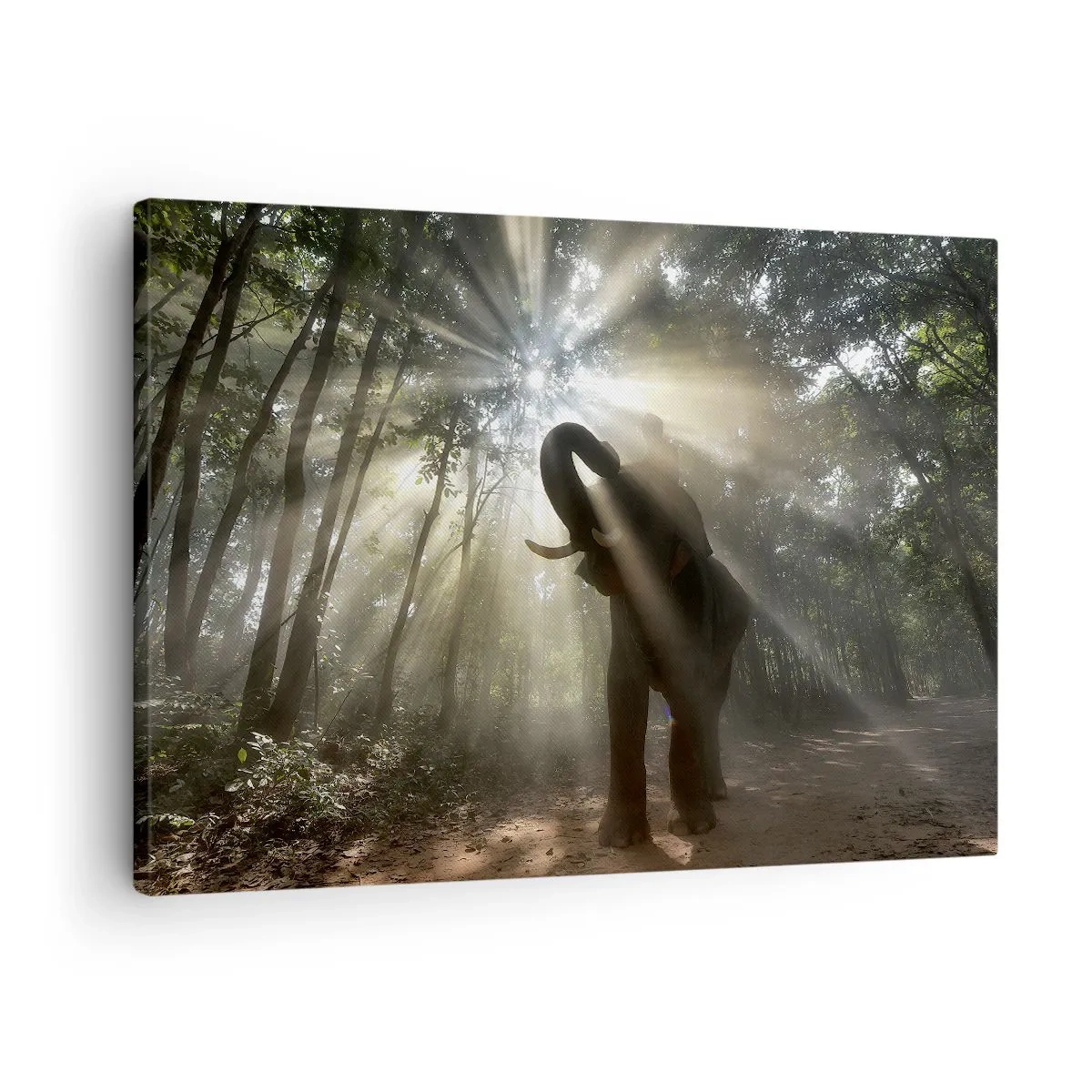 Bild auf Leinwand - Leinwandbild - Ein Elefant im Wald, umgeben von Lichtstrahlen im Morgennebel - 70x50cm - Unter dem Glücksstern - Moderne Wanddekoration für Wohnzimmer und Schlafzimmer ARTTOR