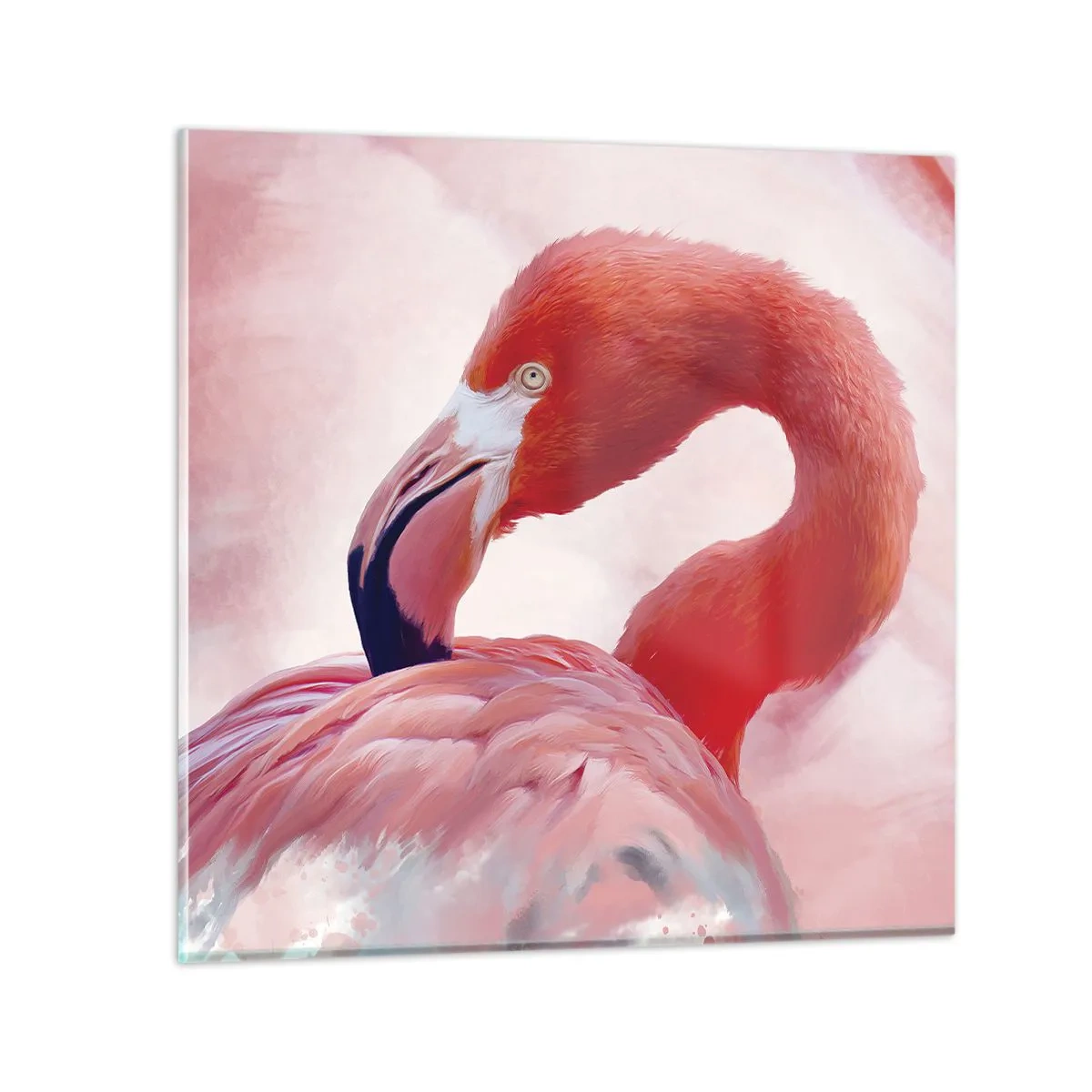 Glasbild - Bild auf glas - Vogel Schönheit - 50x50 cm