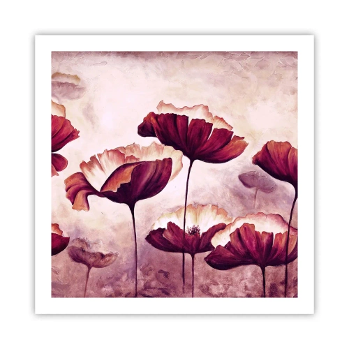 Poster - Rotes und weißes Blütenblatt - 60x60 cm