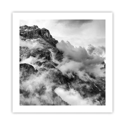 Poster - Schön und grausam - 50x50 cm