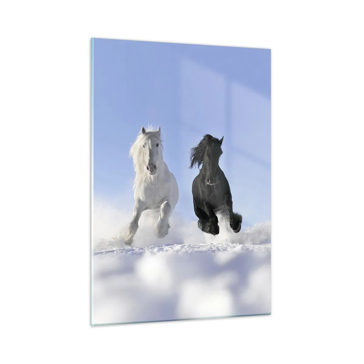 Glasbild - Bild auf glas - Ein schwarz-weißes Pferd, das durch den Schnee in einer Winterlandschaft rennt - 50x70cm - Schwarz-Weiß-Galopp - Moderne Wanddekoration für Wohnzimmer und Schlafzimmer ARTTOR