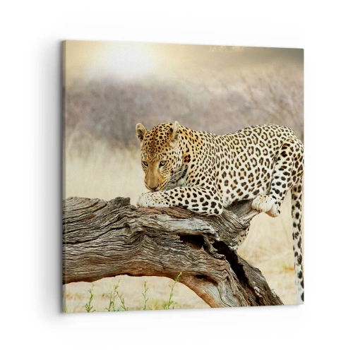 Bild auf Leinwand - Leinwandbild - Ich gehe meine eigenen Wege - 50x50 cm