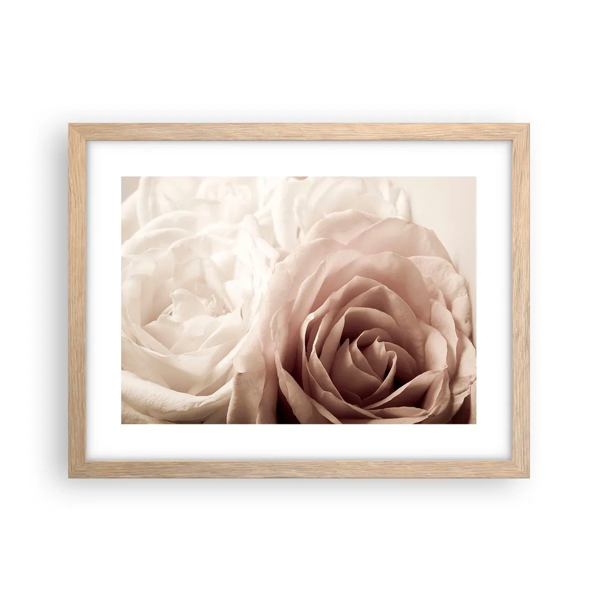 Poster in einem Rahmen aus heller Eiche - Im Herzen der Rose - 40x30 cm