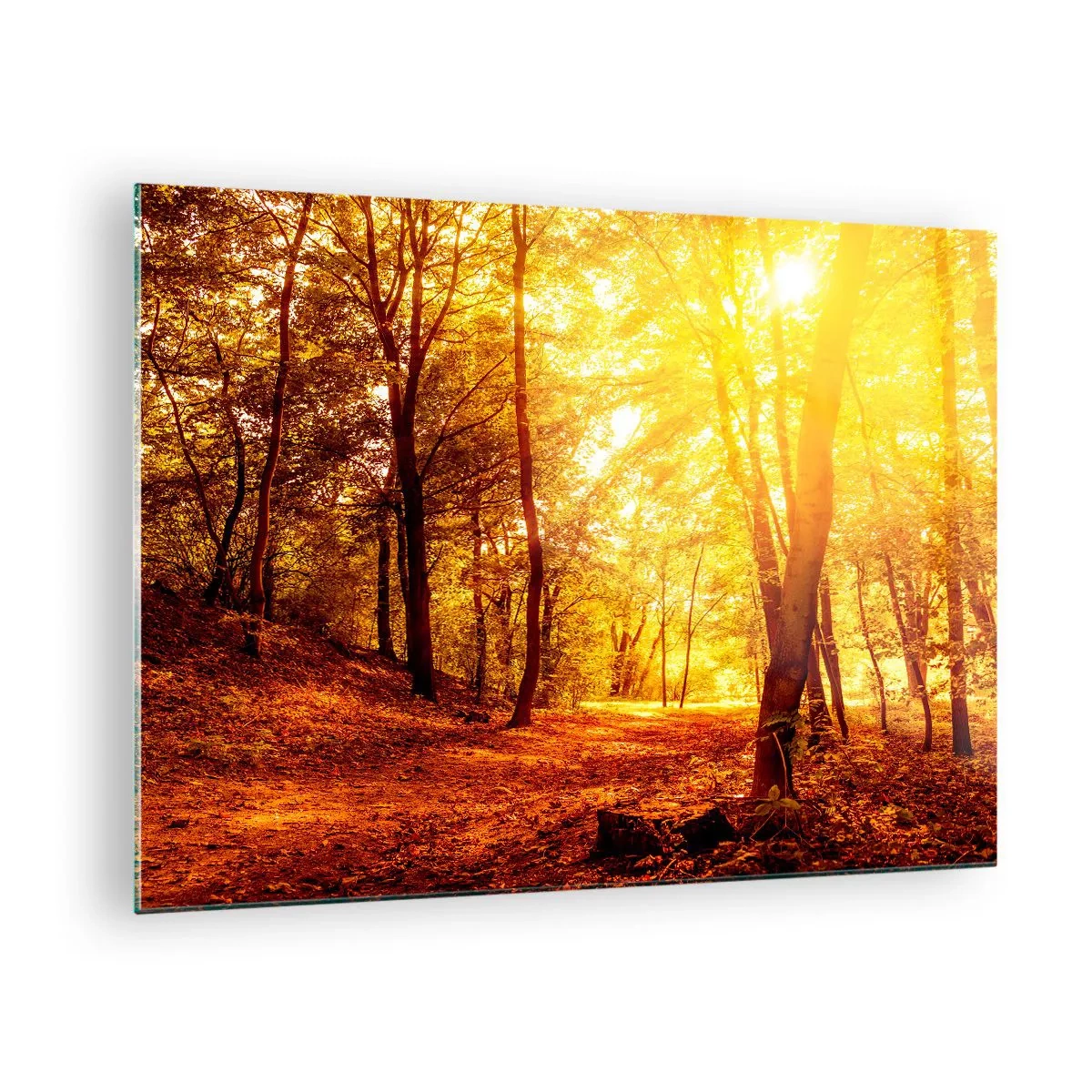 Glasbild - Bild auf glas - Herbstwald, beleuchtet vom warmen Schein der Sonne - 70x50cm - Auf die goldene Lichtung - Moderne Wanddekoration für Wohnzimmer und Schlafzimmer ARTTOR