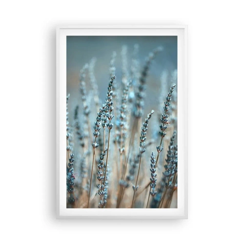 Poster in einem weißen Rahmen - Duftendes Kornfeld - 61x91 cm