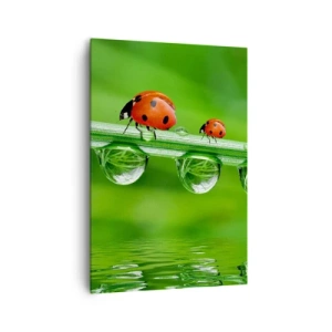 Bild auf Leinwand - Leinwandbild - Marienkäfer auf einem Grashalm mit Tautropfen in einer natürlichen Umgebung - 70x100cm - Den ganzen Sommer unterwegs - Moderne Wanddekoration für Wohnzimmer und Schlafzimmer ARTTOR