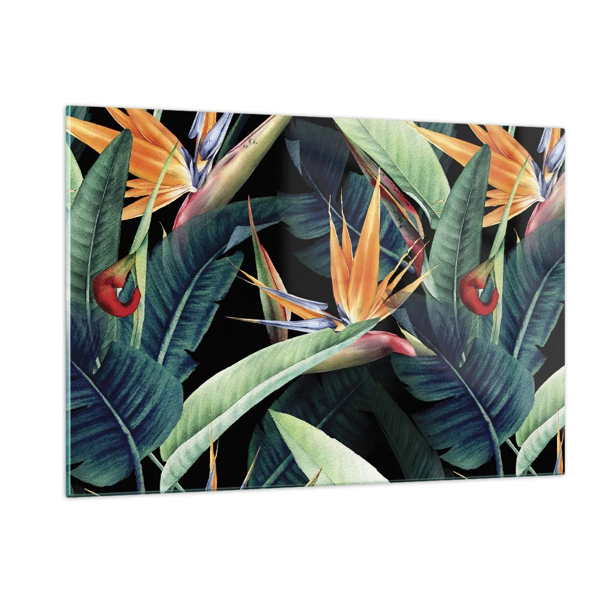 Glasbild - Bild auf glas - Strelitzia-Blüten und tropische Blätter auf schwarzem Hintergrund - 120x80cm - Flammende Blumen der Tropen - Moderne Wanddekoration für Wohnzimmer und Schlafzimmer ARTTOR