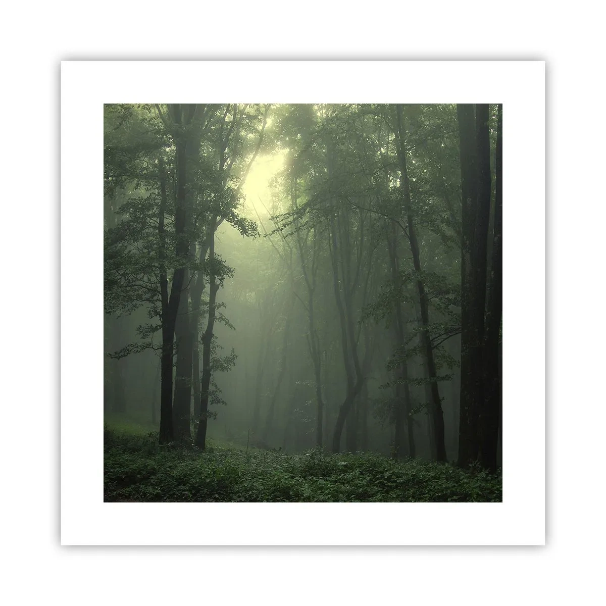 Poster - Bevor er aufwacht - 40x40 cm