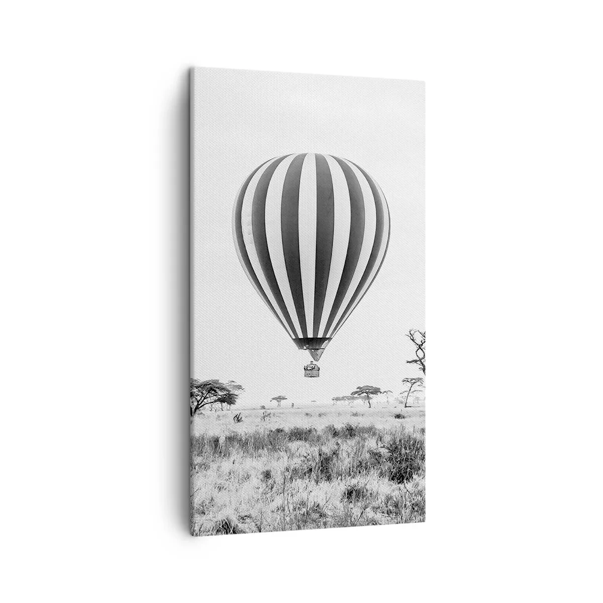 Bild auf Leinwand - Leinwandbild - Über der Savanne - 45x80 cm