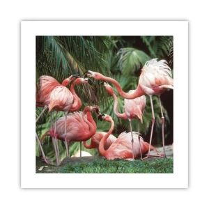 Poster - Nachmittagsklatsch - 40x40 cm