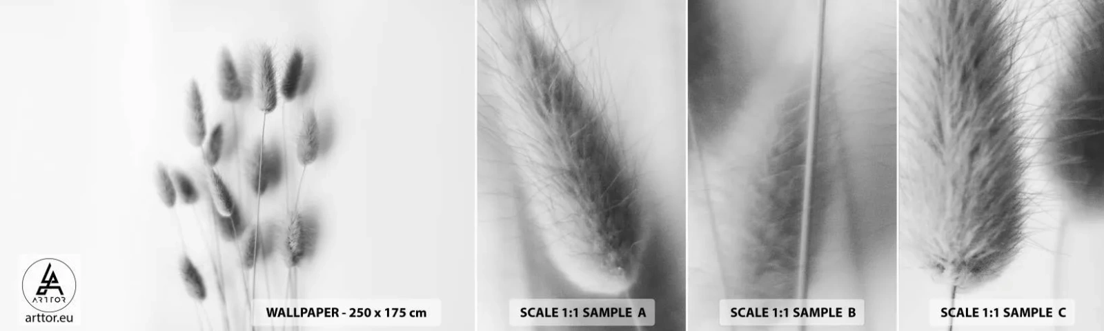 Fototapetenmuster Standard Eco - Eure flauschige Grashoheit - Gras, Schwarz und weiß, Blumen - 100x30 cm