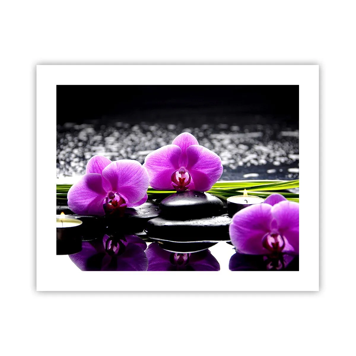 Poster - In Ruhe ertrinken - 50x40 cm