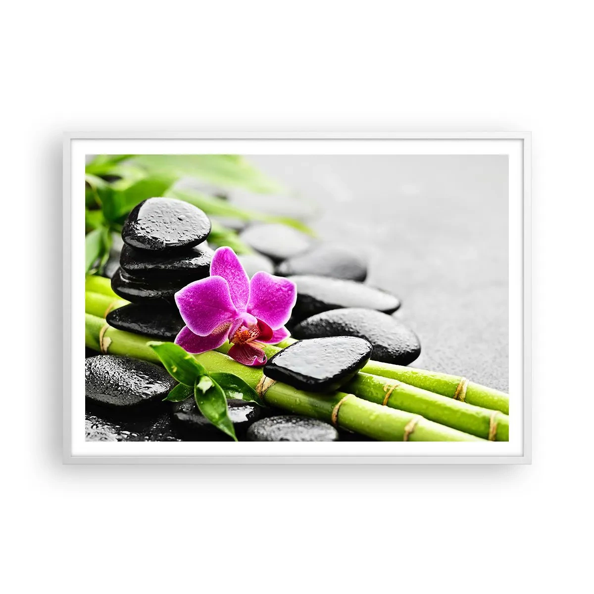 Poster in einem weißen Rahmen - In ruhiger Balance - 100x70 cm