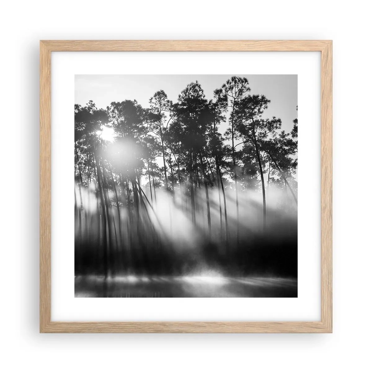 Poster in einem Rahmen aus heller Eiche - Unaufhaltsame Sonne - 40x40 cm