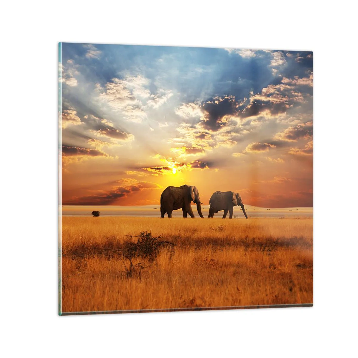 Glasbild - Bild auf glas - Familienspaziergang - 70x70 cm