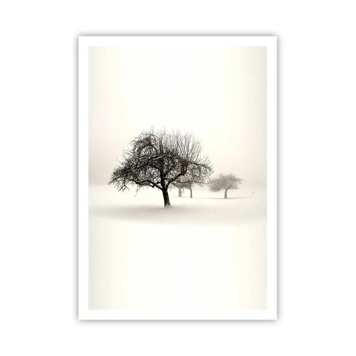 Poster - Winterschlaf - 70x100 cm