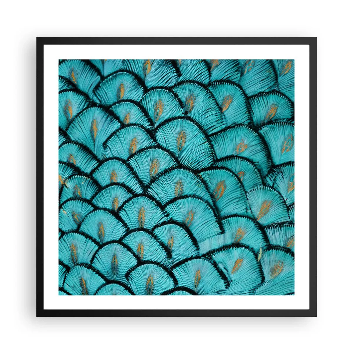 Poster in einem schwarzem Rahmen - Große Federgala - 60x60 cm