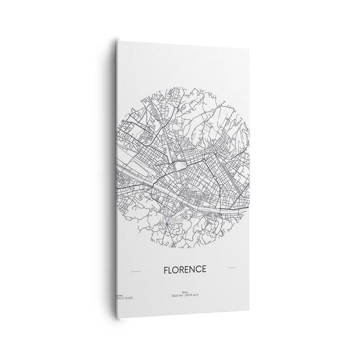 Bild auf Leinwand - Leinwandbild - Anatomie von Florenz - 65x120 cm