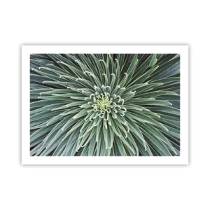 Poster - Ein Star ist geboren - 70x50 cm