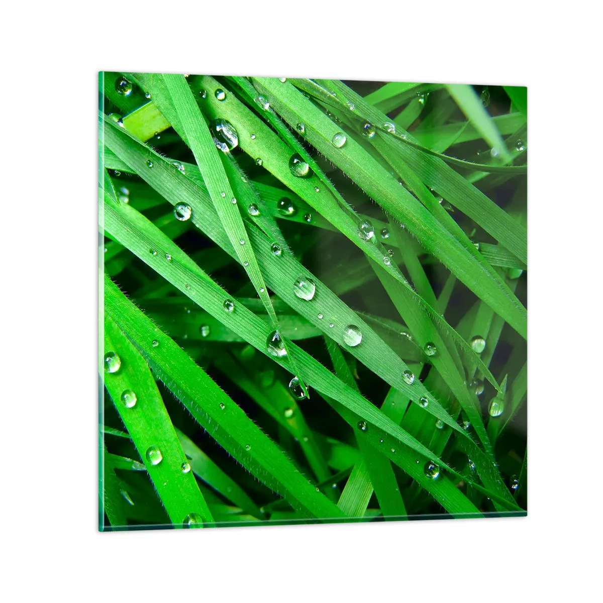 Glasbild - Bild auf glas - Grün spielen - 60x60 cm