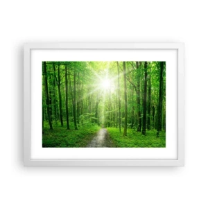 Poster in einem weißen Rahmen - Die grüne Kathedrale - 40x30 cm