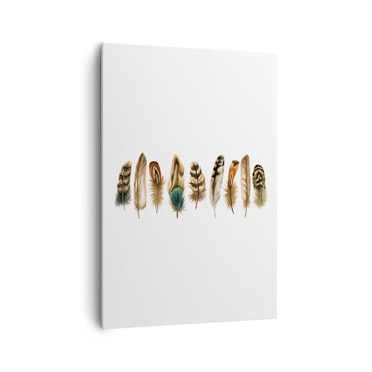 Bild auf Leinwand - Leinwandbild - Dekoratives Motiv einer Sammlung verschiedener Federn - 70x100cm - Eine federleichte Variante - Moderne Wanddekoration für Wohnzimmer und Schlafzimmer ARTTOR