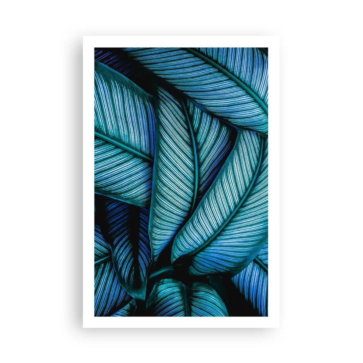 Poster - Lebenslinien - 61x91 cm