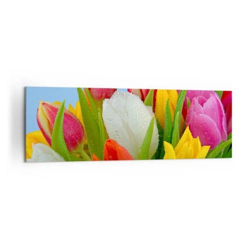 Bild auf Leinwand - Leinwandbild - Bunte Tulpen mit Tautropfen auf blauem Hintergrund bedeckt - 160x50cm - Ein blumiger Regenbogen in Tautropfen - Moderne Wanddekoration für Wohnzimmer und Schlafzimmer ARTTOR