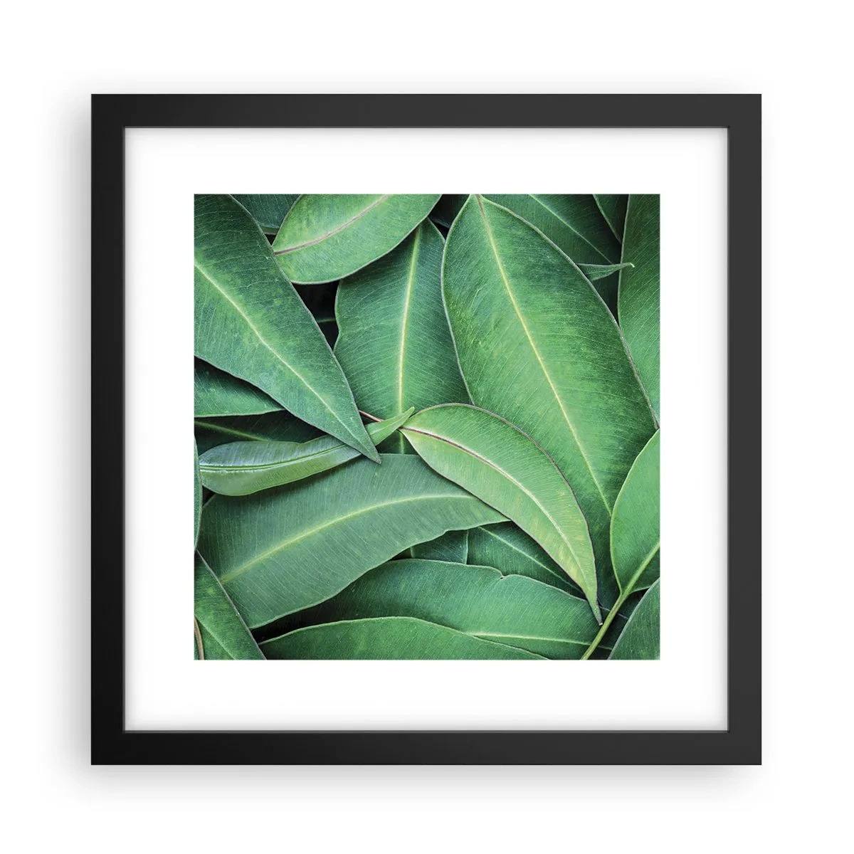 Poster in einem schwarzem Rahmen - Saftig und frisch - 30x30 cm