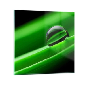 Glasbild - Bild auf glas - Leben hautnah - 30x30 cm