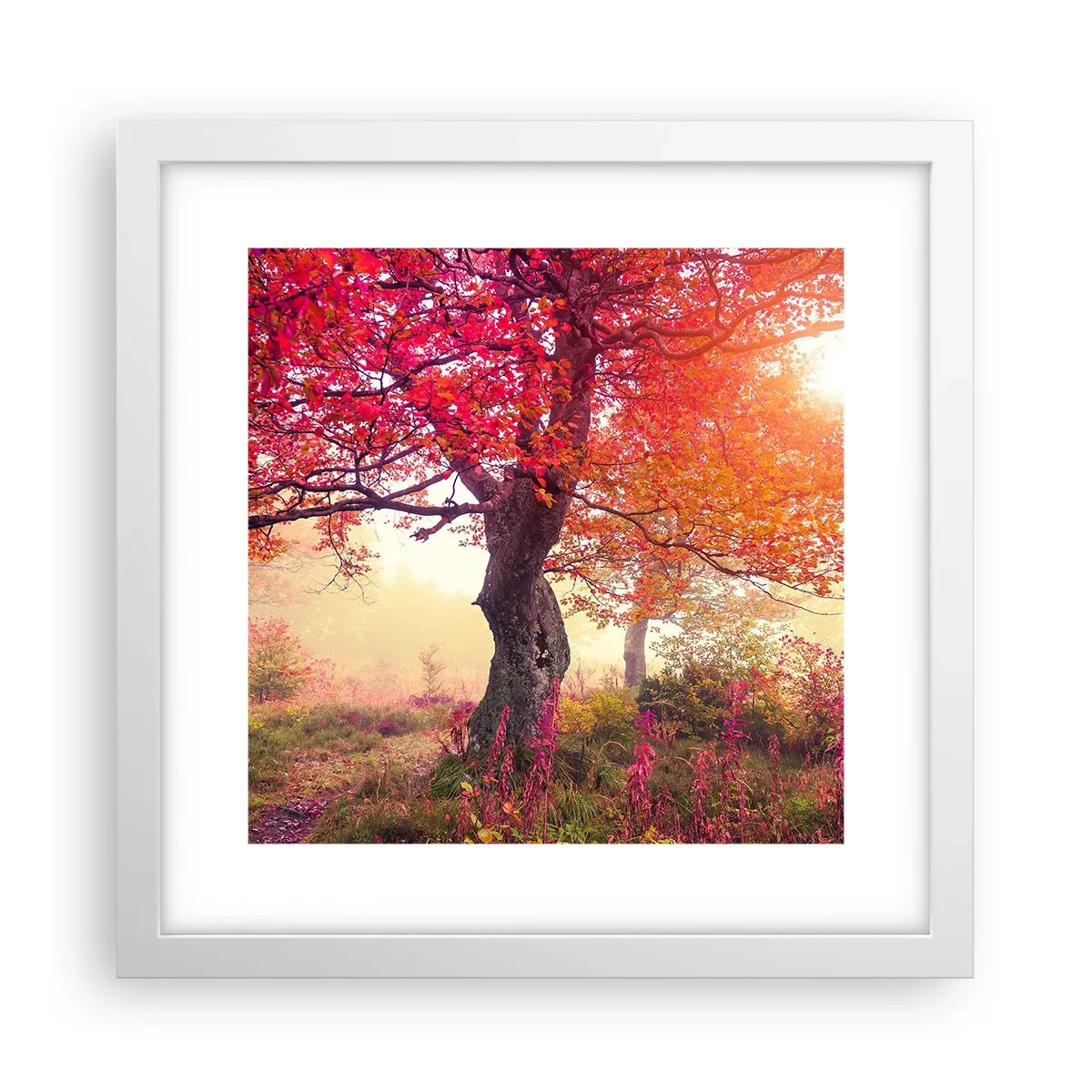 Poster in einem weißen Rahmen - Blühende Raserei - 30x30 cm