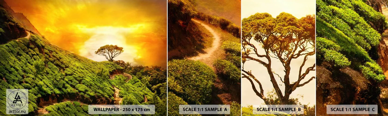 Fototapetenmuster Standard Eco - Ein gewundener Weg, ein grüner Hang - Landschaft, Tee Plantage, Indien - 100x30 cm