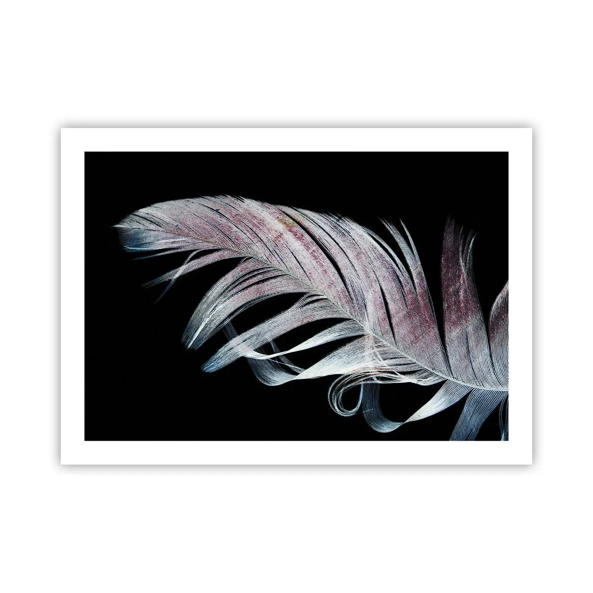 Poster - Denke an Berührung - 70x50 cm