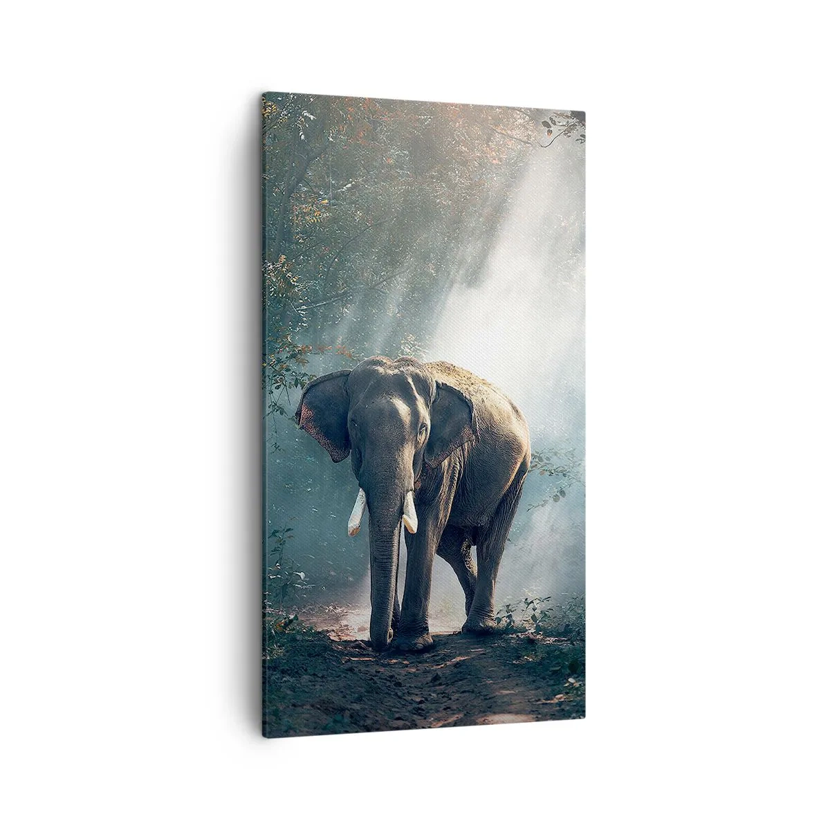 Bild auf Leinwand - Leinwandbild - Ein gemütlicher Spaziergang - 45x80 cm