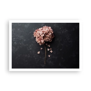 Poster - Eine zarte Hortensienblüte auf dunklem Hintergrund - 100x70cm - Wirklich romantisches Zeichen - Moderne Wanddekoration für Wohnzimmer und Schlafzimmer ARTTOR