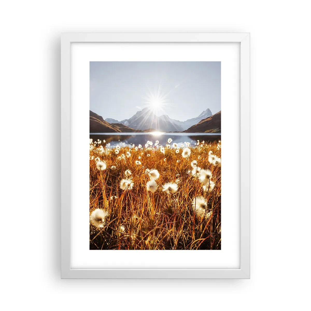 Poster in einem weißen Rahmen - Steinhärte, Grasweichheit - 30x40 cm