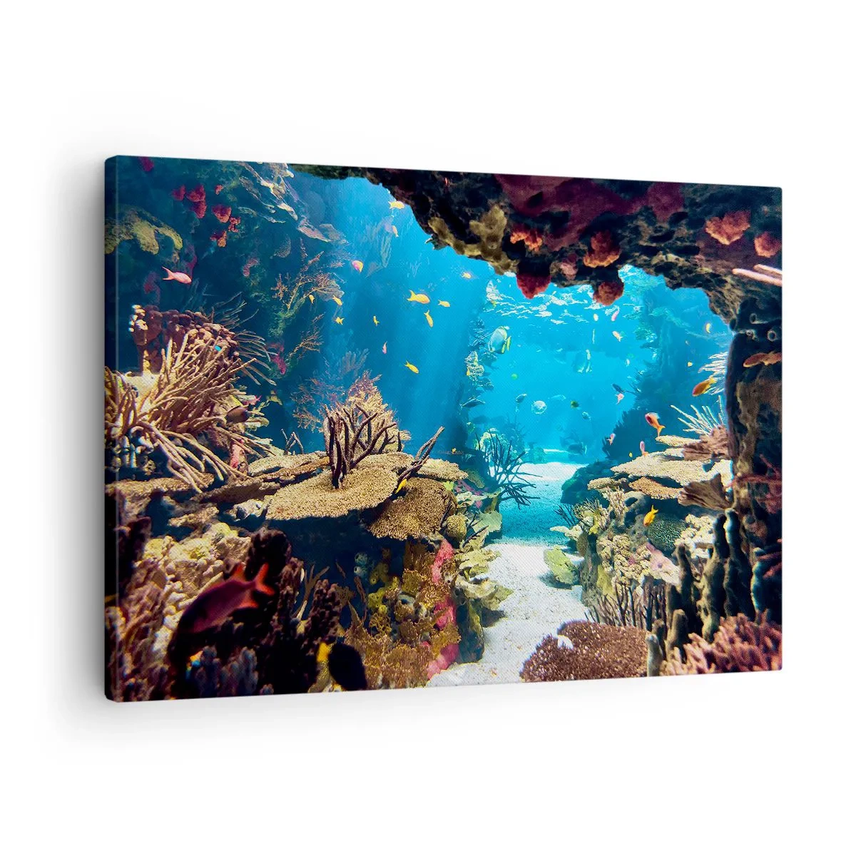 Bild auf Leinwand - Leinwandbild - Unterwasserwelt mit Korallenriff und Fischen - 70x50cm - Du hast es noch nicht einmal geträumt - Moderne Wanddekoration für Wohnzimmer und Schlafzimmer ARTTOR