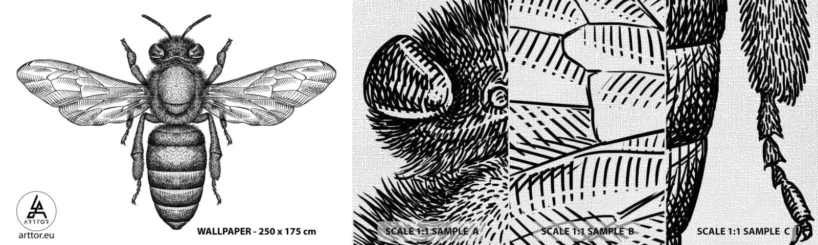 Fototapeten Muster Premium Canvas - Insektenporträt - Biene, Insekt, Minimalistisch - 100x30 cm