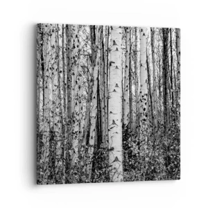 Bild auf Leinwand - Leinwandbild - Birkenkolonnade - 30x30 cm