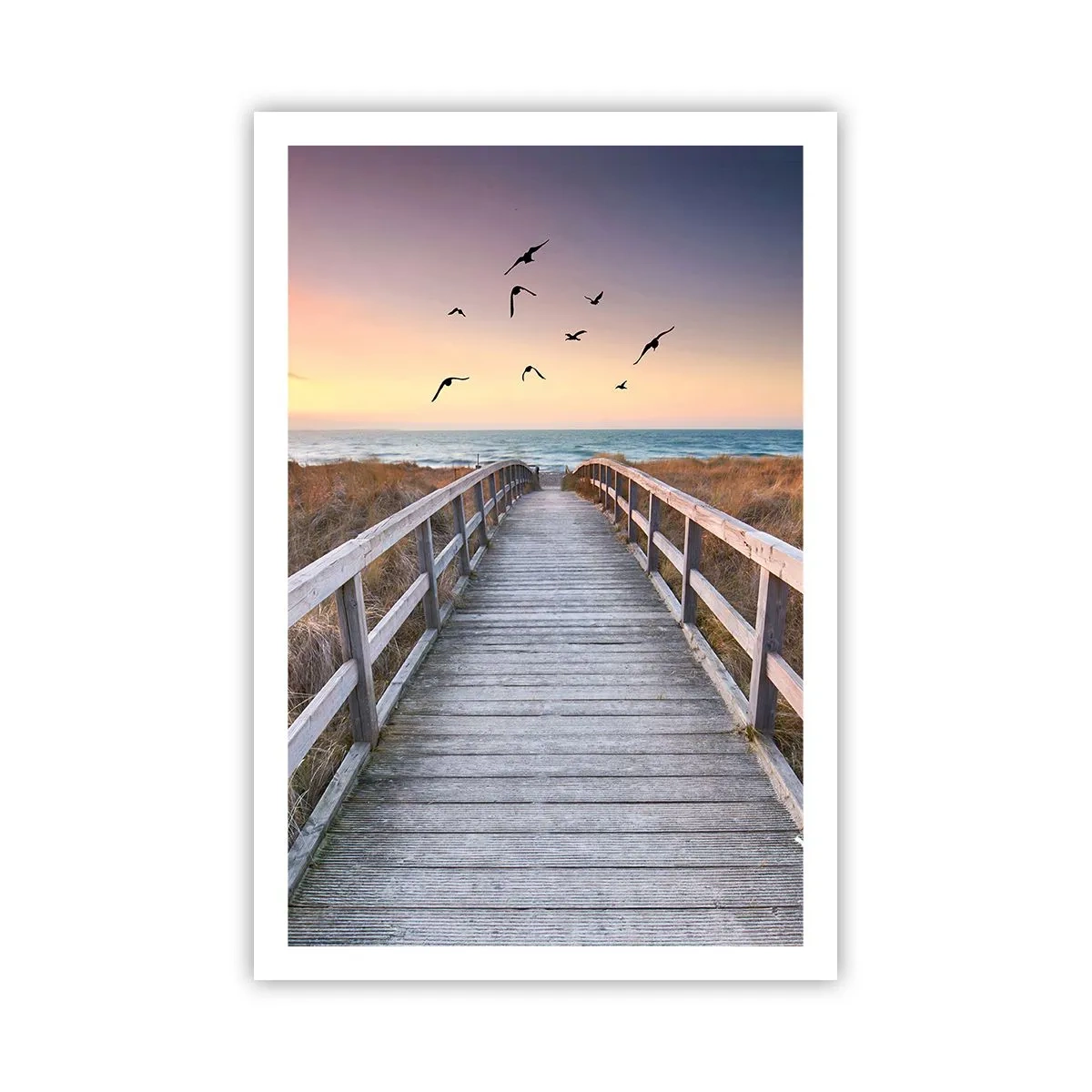 Poster - Der Raum für Auffliegen - 61x91 cm